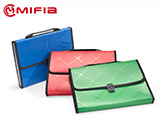 Gloss Expanding File Bags
