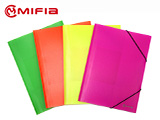 Plastic Elastic File Folders