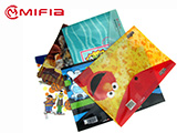 Buckle Snap Plastic File Envelope Folder