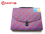 PP Expanding File Bag