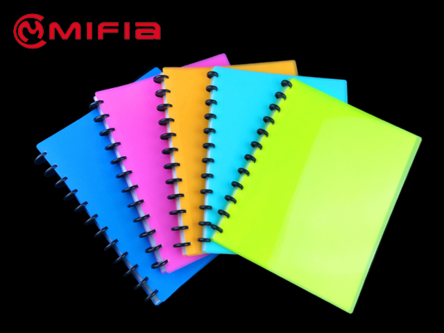 PP Carpeta con fundas 