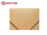 Matte Kraft Paper 3-Flap File with Elastics