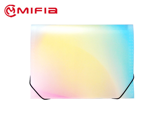 Plastic Graduated Color Expanding File Organizer File