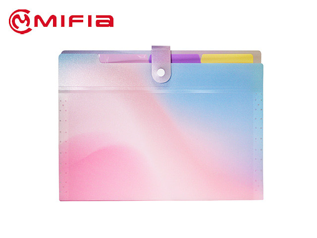 Aurora Color 4 Divider Expanding File