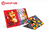 Paper Printed Folder With Lamination